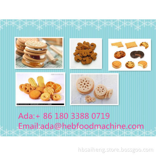 SH-V009 new biscuit making machine machine from China